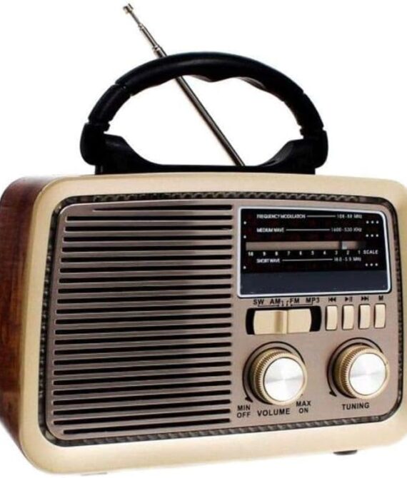 DENX Bluetooth Speaker with AM/FM/SW Radio & Flashlight – Portable
