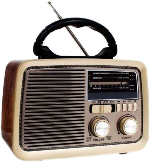 DENX Bluetooth Speaker with AM/FM/SW Radio & Flashlight - Portable