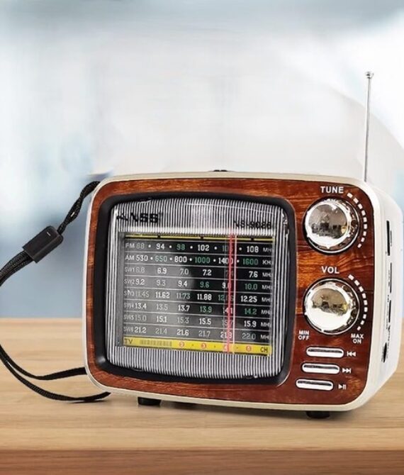 DENX Retro Bluetooth Radio Speaker with AM/FM/SW & USB – DX2447