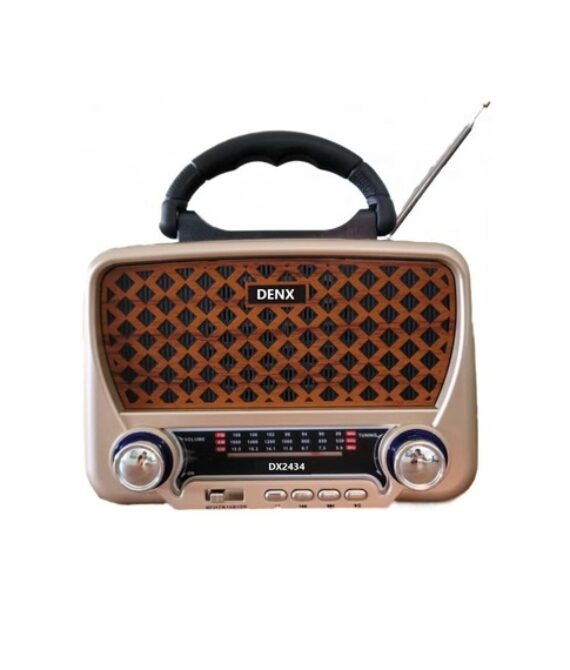 DENX Retro Bluetooth Speaker with AM/FM/SW Radio & TF Card – DX2437