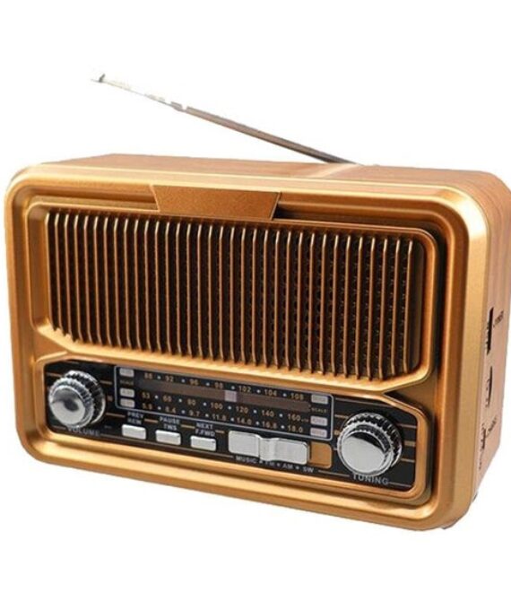 DENX Retro Bluetooth Speaker with AM/FM/SW Radio & USB Playback