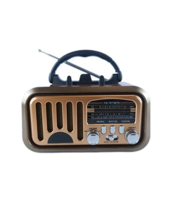 DENX Retro Bluetooth Radio Speaker with AM/FM/SW & USB – Portable